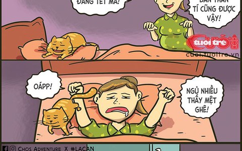 Tết là tủ lạnh, Tết là tivi