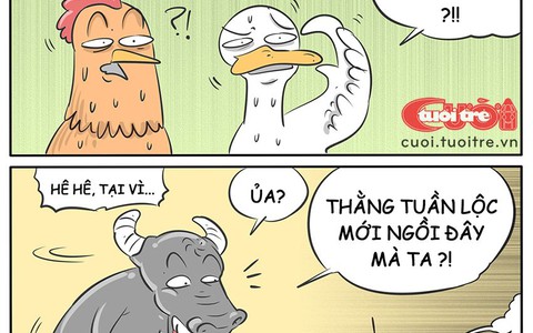 Chuyện trâu và sừng