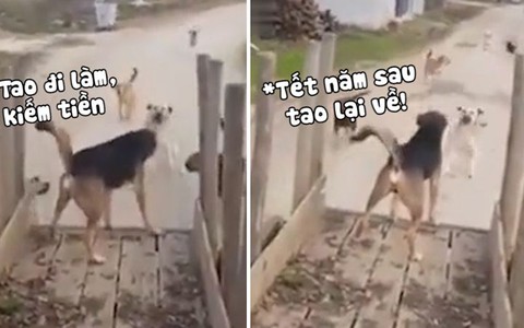 'Tụi mày quay lại đi! Tết năm sau tao về nữa'