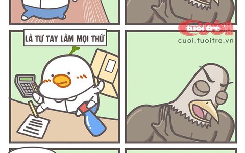 Đầu năm nên làm startup gì?