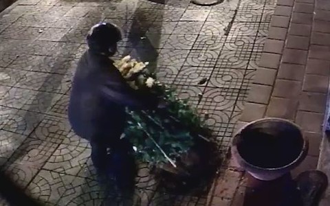 Tên trộm lấy chậu không lấy hoa