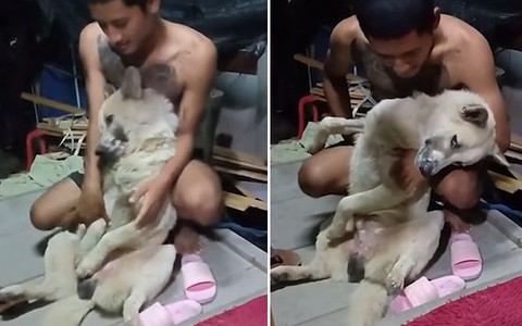 Chú chó 'xỉu lên xỉu xuống' khi chủ bắt đi tắm