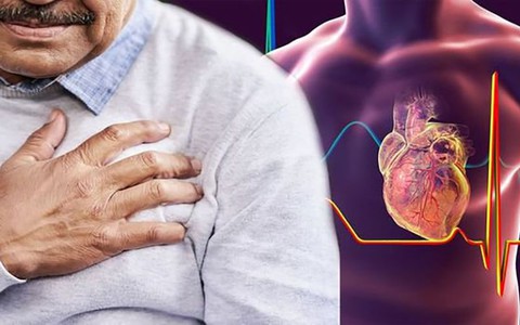 Đông y có thuốc chữa bệnh tim không?
