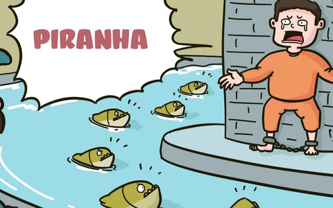 Cá piranha, động vật ngoại lai nguy hại hơn ốc bươu vàng