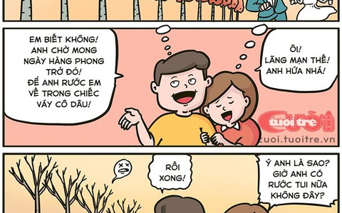 Hà Nội tan giấc mơ hàng phong lá đỏ đẹp như châu Âu