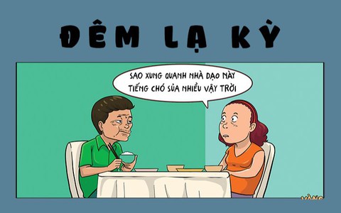 Chú chó lên tiếng khi không còn ai 'Đắp mộ cuộc tình'