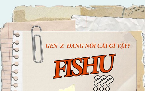 'Nghe mà muốn 'fishu' luôn đó!', câu nói có khiến ai hoang mang?