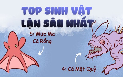 Bất ngờ với top 5 sinh vật lặn sâu nhất thế giới