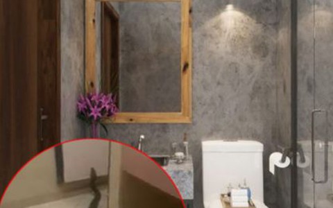 Nhân viên quán cà phê phát hoảng với con trăn 5 mét trong toilet