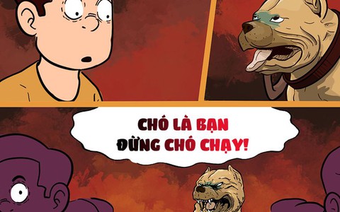 Chó là bạn nhưng chó dữ không rọ mõm là chạy!