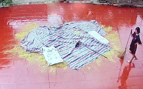 Cô gái bất lực nhìn sân lúa ướt khi chạy mưa