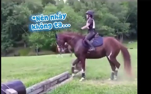 Chú ngựa bối rối nhảy như ếch khi gặp phải chướng ngại vật