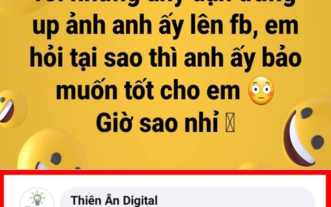 Vua Còm 26/6: Chú ngựa cười toét bị dân mạng 'bình phẩm' ngoại hình