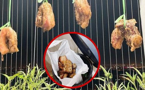 Vợ chồng Hà Nội thất bại thảm hại khi đu trend làm 'ba rọi 1 nắng'