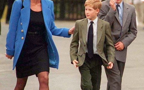 Hoàng tử Harry có bí danh vì Diana nghĩ anh sẽ là 'vị vua tốt hơn'