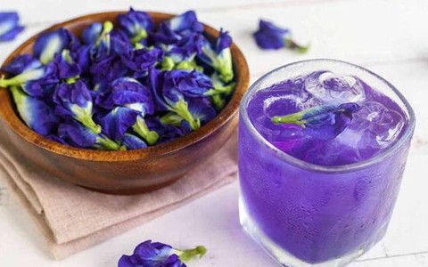 'Thời điểm vàng' uống trà đậu biếc