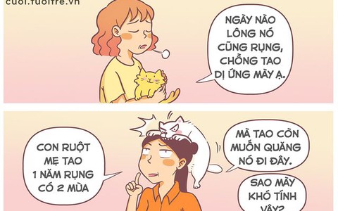Tản mạn về lông mèo: Giảm stress và tăng stress
