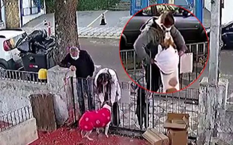 Video hài nhất tuần qua: Chú chó được tặng đồ mới vì bị trộm mất áo