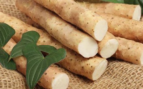Củ mài chữa di tinh, mộng tinh cho nam giới