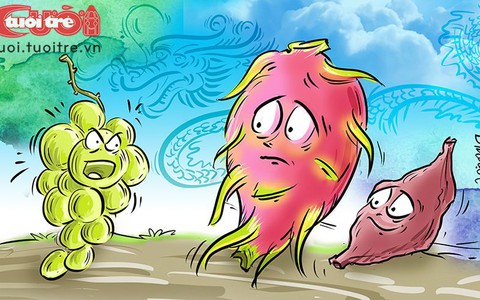 Kế hay giải cứu Thanh Long