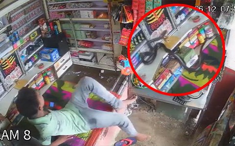 Chàng trai chạy té khói khi thấy rắn khủng rượt bắt chuột trong nhà