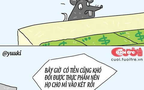 Chuột đi tìm đồ ăn thiết yếu