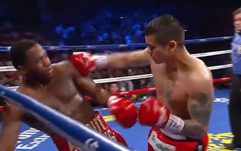 Võ sĩ chưa đánh đã thích hổ báo bị hạ knock-out