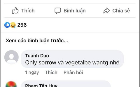 Ngả mũ chào thua màn chuyển ngữ 'rau muống, sầu riêng' của dân mạng