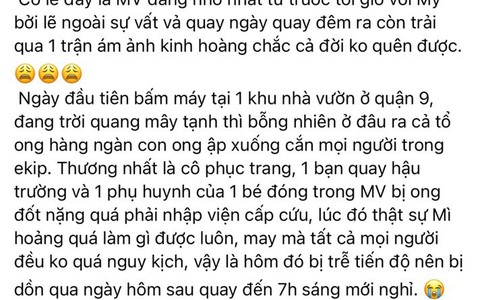 Chèn đéc ơi, bầy ong nỡ lòng tấn công Tố My đến nhập viện!