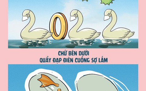 Năm 2022: Bình tĩnh sống