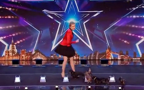 Cô gái dẫn đàn chó cưng đi thi 'Got Talent'