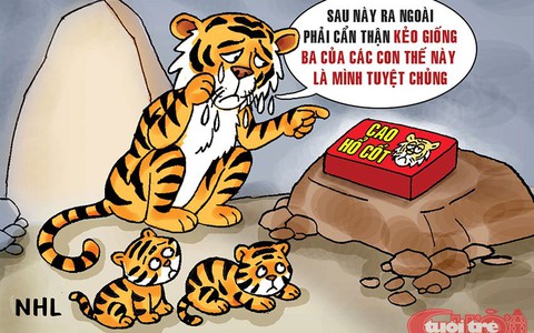 Bài học đầu năm Nhâm Dần