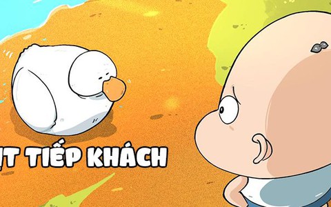 Vịt tiếp khách