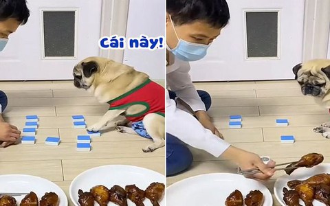 Sen bị chú chó lấy hết đùi gà