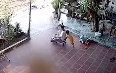 Khi bố ở nhà trông con