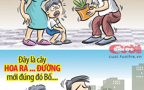 Ra đường vì bạch hải đường