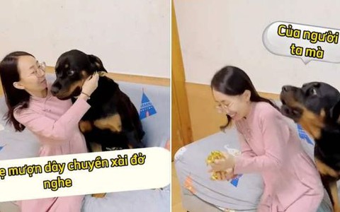 Chú chó nổi quạu khi sen lột dây chuyền đem bán