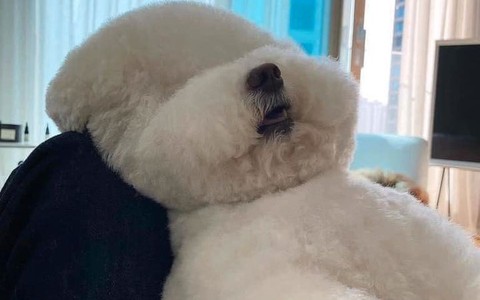 Ảnh vui 10/6: Thua keo này ta bày keo khác!