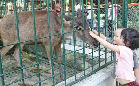 Vườn thú 30 năm tuổi, vẫn phải giải thể vì ngày càng teo tóp