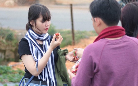 Đừng vội ăn trái cây tại vườn