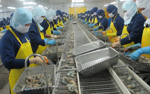 Bộ Nông nghiệp nêu giải pháp cho nông sản không đứt gãy chuỗi cung ứng