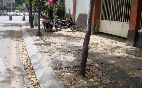 Người Sài Gòn sau đêm mưa lớn