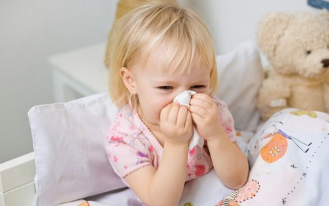 Viêm mũi dị ứng: những thói quen sai cần tránh