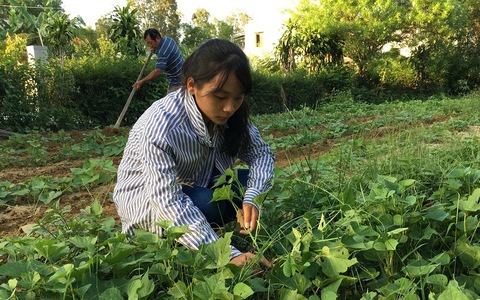 Cô lớp trưởng giàu nghị lực