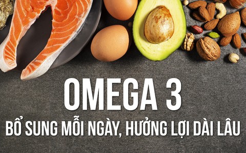 Có bao giờ bạn hỏi não được cấu thành từ chất gì?