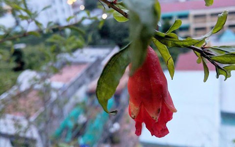 Đôi khi xin thả đôi giấc mơ