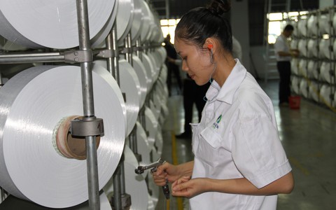 Xơ sợi Đình Vũ doanh thu hơn 250 tỉ sau một năm tái khởi động