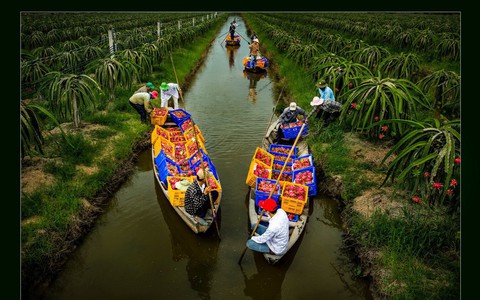 Ngây ngất với thiên nhiên và đời sống người Việt  qua ảnh