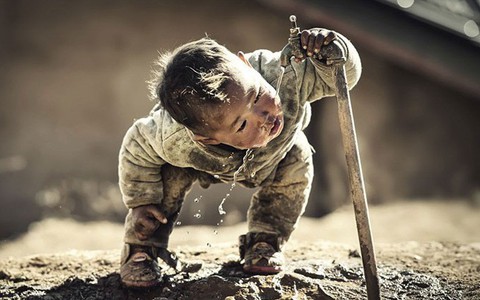 Xem những bức ảnh chạm đến trái tim của cuộc thi ảnh lớn nhất thế giới