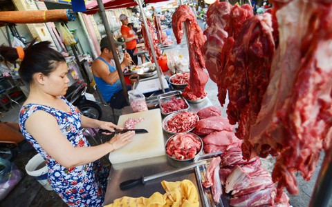 Bò ngoại “húc ngã” bò nội